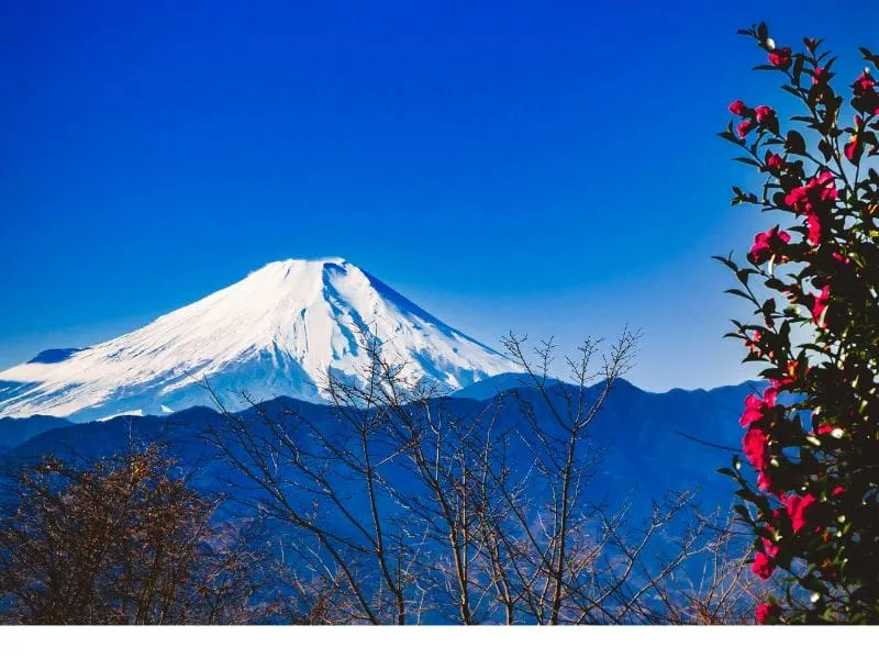 11 Wisata Gunung Fuji dari Danau hingga Taman Bunga