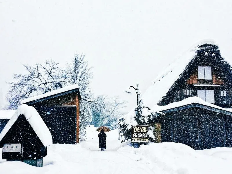 Wisata Halal Jepang Shirakawago | Trip Mudah ke Desa Indah!
