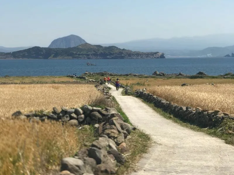19 Wisata Jeju Island, dari Pantai hingga Situs UNESCO
