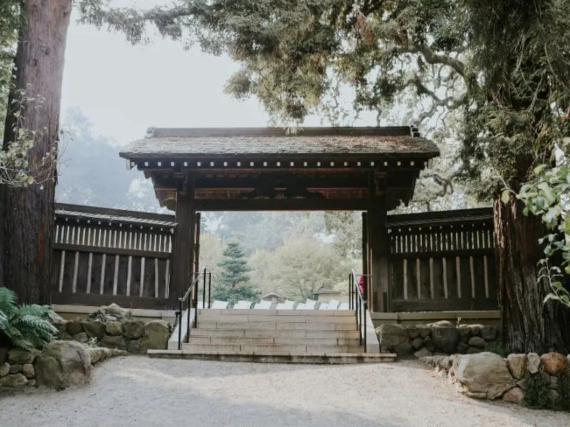 Wisata Jepang yang Terkenal: Liburan Seru di Hakone 2024