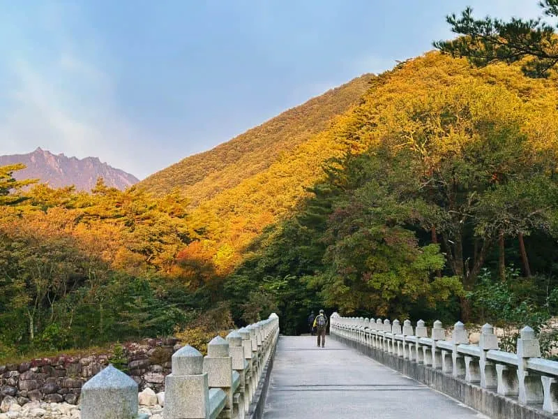 Wisata Korea Keluarga: Destinasi Ramah Anak Terbaik 2025