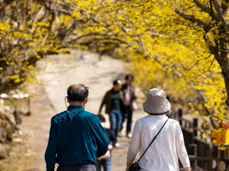 5 Wisata Korea untuk Lansia, Liburan Nyaman dan Aman
